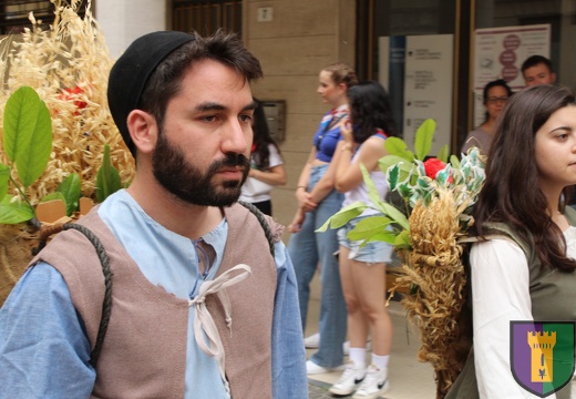 Palio delle Contrade di San Secondo Parmense - Contrada Castell'Aicardi